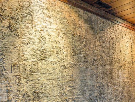 Luxury Birch Wall Paneling Bark Laminate Wall Covering Bark House