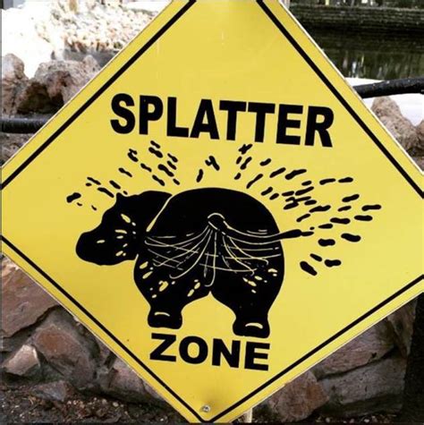 23 Funny Zoo Signboards That Will Leave You Rofl Ing Trending