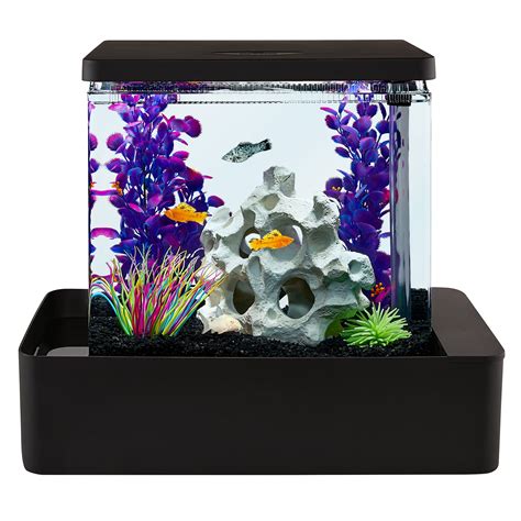 Top Fin Infinity Edge Waterfall Tank Fish Aquariums Petsmart