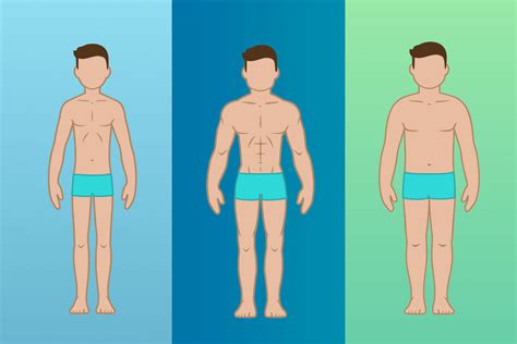 Ectomorph Mesomorph Or Endomorph How To Determine Your Body Type