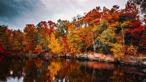 Download Wallpaper 1920x1080 Trees Autumn Lake Reflection Autumn