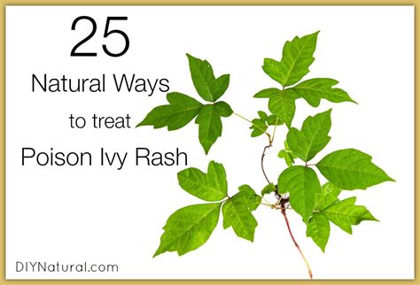 Poison Ivy Treatment And 25 Natural Rash Remedies