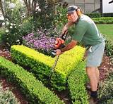 Images of Landscape Gardener Job Description