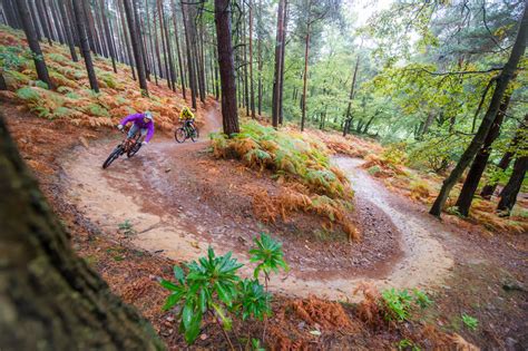 But if there simply isn't anything available in your area, or you can't afford it just now, this short intro about off road basics might help! Best place to mountain bike near London - MBR