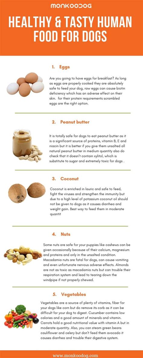See full list on dogsnaturallymagazine.com HEALTHY & TASTY HUMAN FOOD FOR DOGS #monkoodog #smartdog # ...