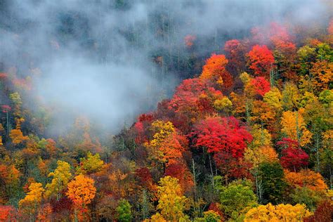 Smoky Mountains At Fall Leaves Usa Colors Trees Tennessee Mist