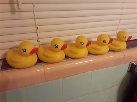 Rubber Duckie You Re The One Collectors Weekly