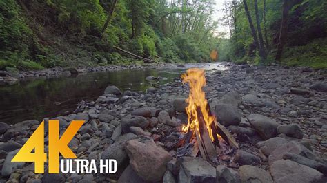 4k Nature Relax Video Campfire By The River 2 Proartinc