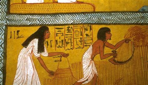 ancient egyptian agriculture food and agriculture organization of the united nations