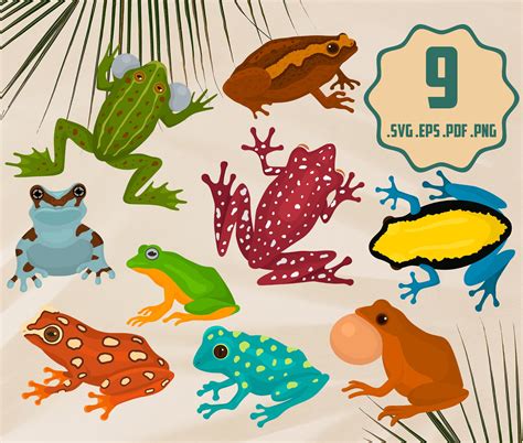 Color Frogs Svg Illustration Bundle Cartoon Frogs Vector Art Etsy