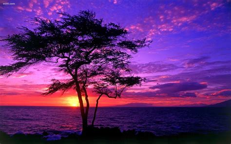 Beautiful Sunset Wallpapers Top Free Beautiful Sunset Backgrounds