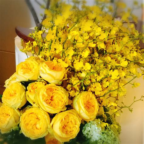 3d love heart red images full hd wallpaper. Rose Flower Images Full Size - Cool HD Wallpapers ...