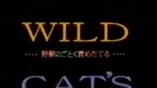Saori Nanami Wild Cat S Jav Classic Vintage Zenporn Com