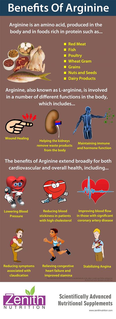 Looking for some protein rich food to include in your diet? Arginine - is an amino acid, produced in teh body and in ...