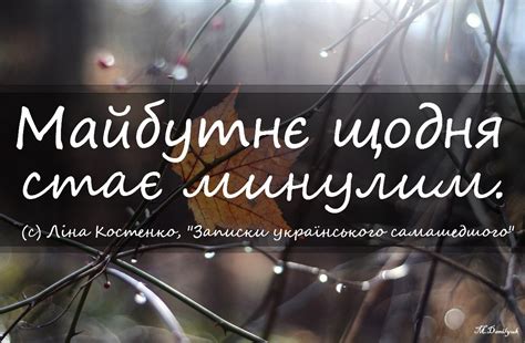 Ліна костенко відмовилася від звання героя україни. «Знання і мислення починається зі здивування»: Цікаві ...