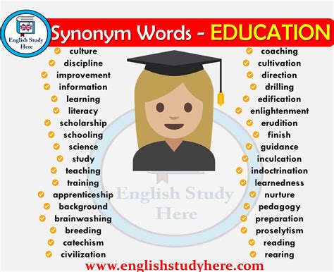education synonyms words english study