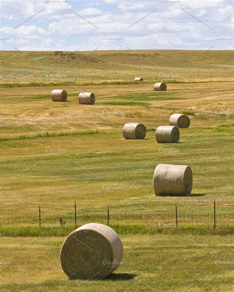 Large Round Bales Of Hay High Quality Abstract Stock Photos