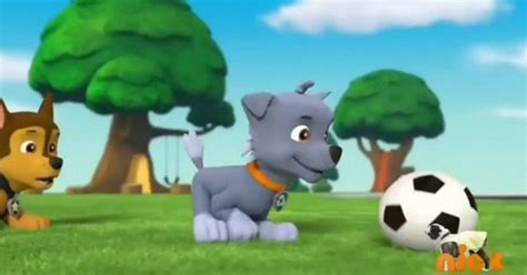 Pin De Christopher Sam Em Paw Patrol Patrulha Pata Patrulha Canina Patrulha