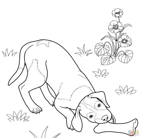Written by rusty cameron was a playful 5 year old who loved to play outside. German Shepherd Dog Coloring Pages Sketch Coloring Page