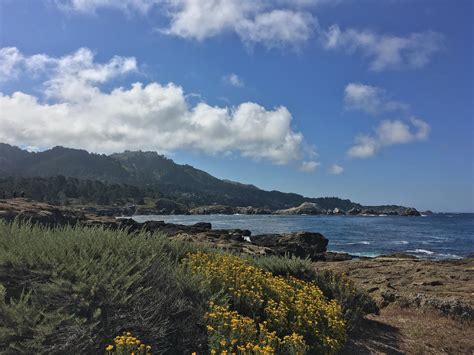 Point Lobos State Reserve Carmel By The Sea Ca Oc 3264x2448 R