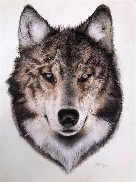 Wolf Portrait I Did In 2019 🐺 Rwatercolor