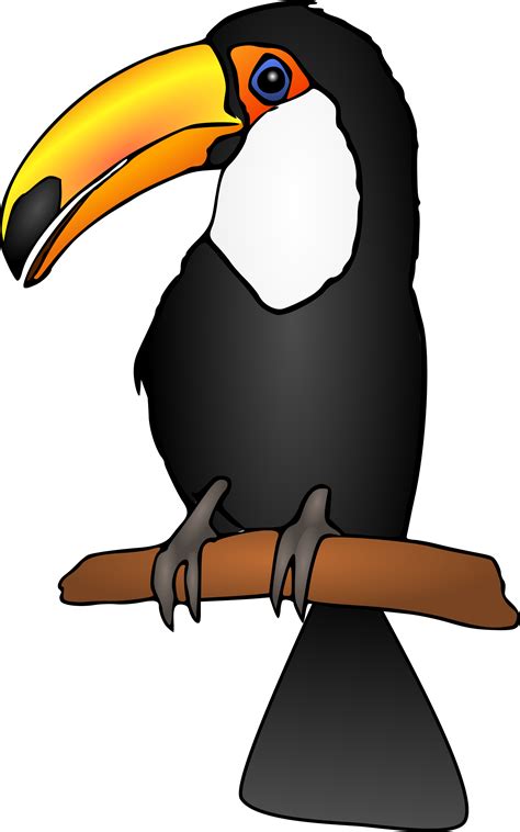 Clipart Baby Toucan Clipart Baby Toucan Transparent Free For Download