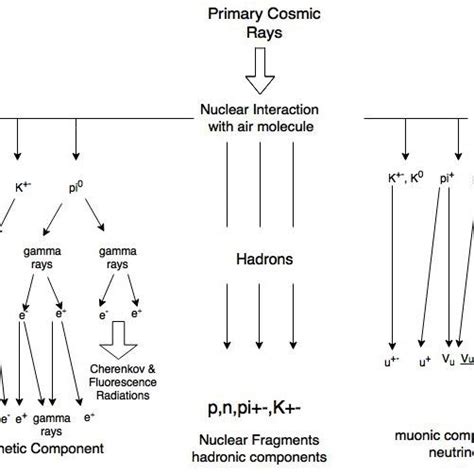 Schematic Diagram Of A Cosmic Ray Interaction In The Upper Atmosphere