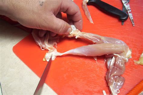 Check spelling or type a new query. Debbie's blog: LAB - CHICKEN LEG DISSECTION