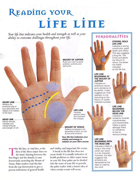 Reading Your Life Line Palm Reading Palmistry Palmistry Reading