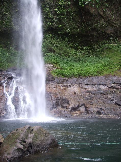 Amazon Rainforest Waterfall