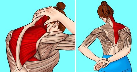 11 Estiramientos para aliviar la tensión en el cuello y los hombros