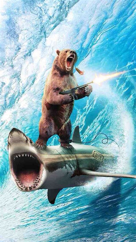 Awesome Bear Shark New Wallpaper Iphone Cool Wallpaper Funny Shower