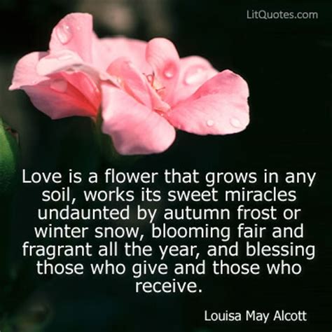 Life has always been the intoxicating scent of flowers never fails to delight me. Love is a Flower | LitQuotes Blog