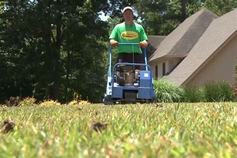 Dethatching a lawn is not a necessity. How and When to Dethatch a Lawn