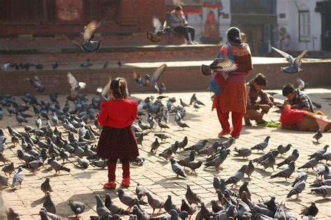Ultimate Guide To Kathmandus Cultural Highlights Kimkim