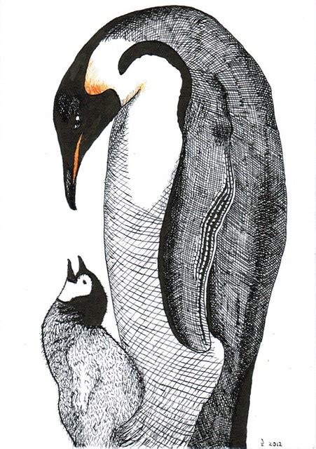 120609 Emperor Penguins Pen And Ink With Colored Pencil Po Flickr