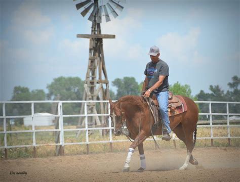 Reining Horse Trainer Ben Gerst Reining Horses