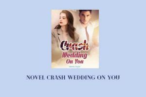 Baca Novel Crash Wedding On You Pdf Lengkap Full Episode Senjanesia