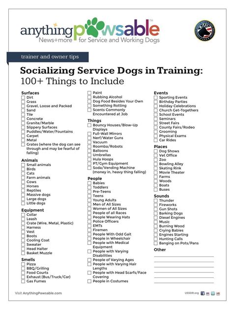 Pin By Kai Blackley On Dog Training Dog Training Obedience Service