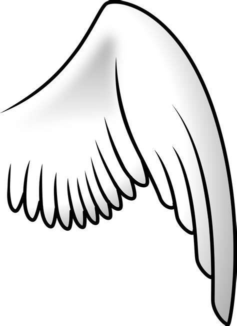 Drawing Wings Cartoon Transparent Background Png Clipart Hiclipart