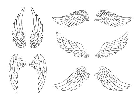 Set Of Hand Drawn Bird Or Angel Wings Of Different Shape In Open