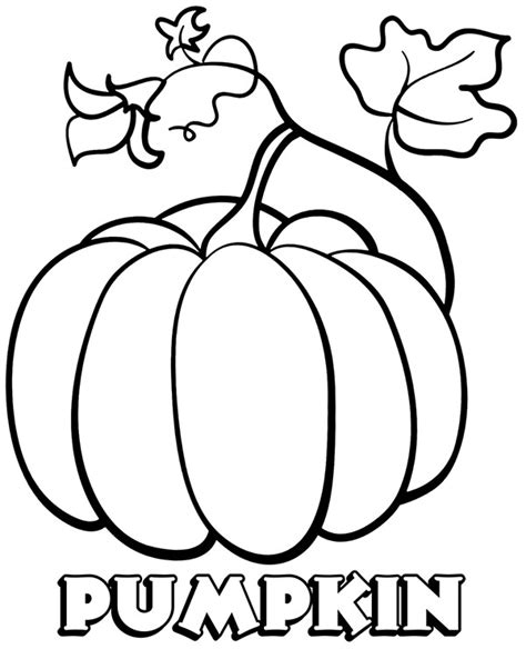Kale can tolerate cold temperatures. Free vegetables coloring pages pumpkin printable image