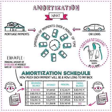 Amortization Sheet ~ Explained And Illustrated ~ Napkin Finance
