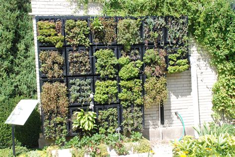 Green Spaces For Cities Part 2 Living Walls And Green Roofs Blog