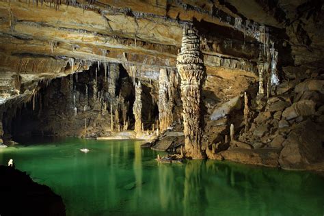 Mammoth Cave Its Surprising Kinship With Building Lime Biolime