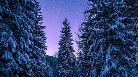 Winter Laptop Wallpapers Top Free Winter Laptop Backgrounds