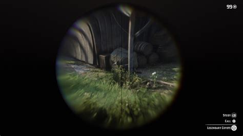 Includes most of the usual options along with a few new ones such as calling natives directly. Legendary Coyote Hunting & Skin Location | Red Dead Redemption 2 Guide | PrimeWikis