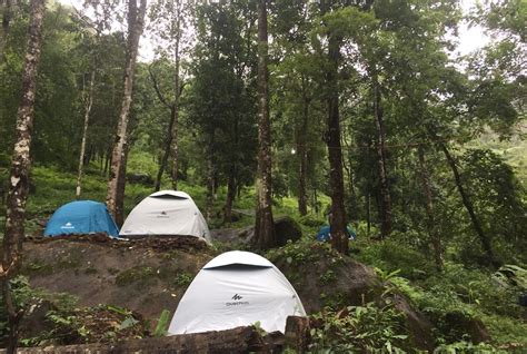 Rainforest Camping Wayanad Camp Price Address And Reviews