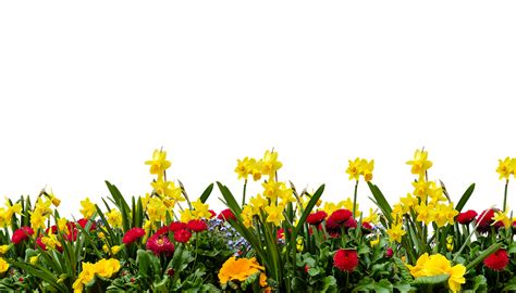Garden Png Isolated Hd Png Mart