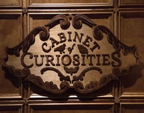 Cabinet of natural curiosities, by albertus seba, is published by taschen and is available at www.taschen.com for £27.99. Cabinet Of Curiosities | BEYONDbones